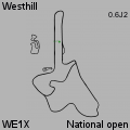 WE1X